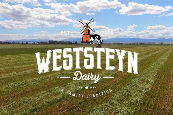 Weststeyn Dairy